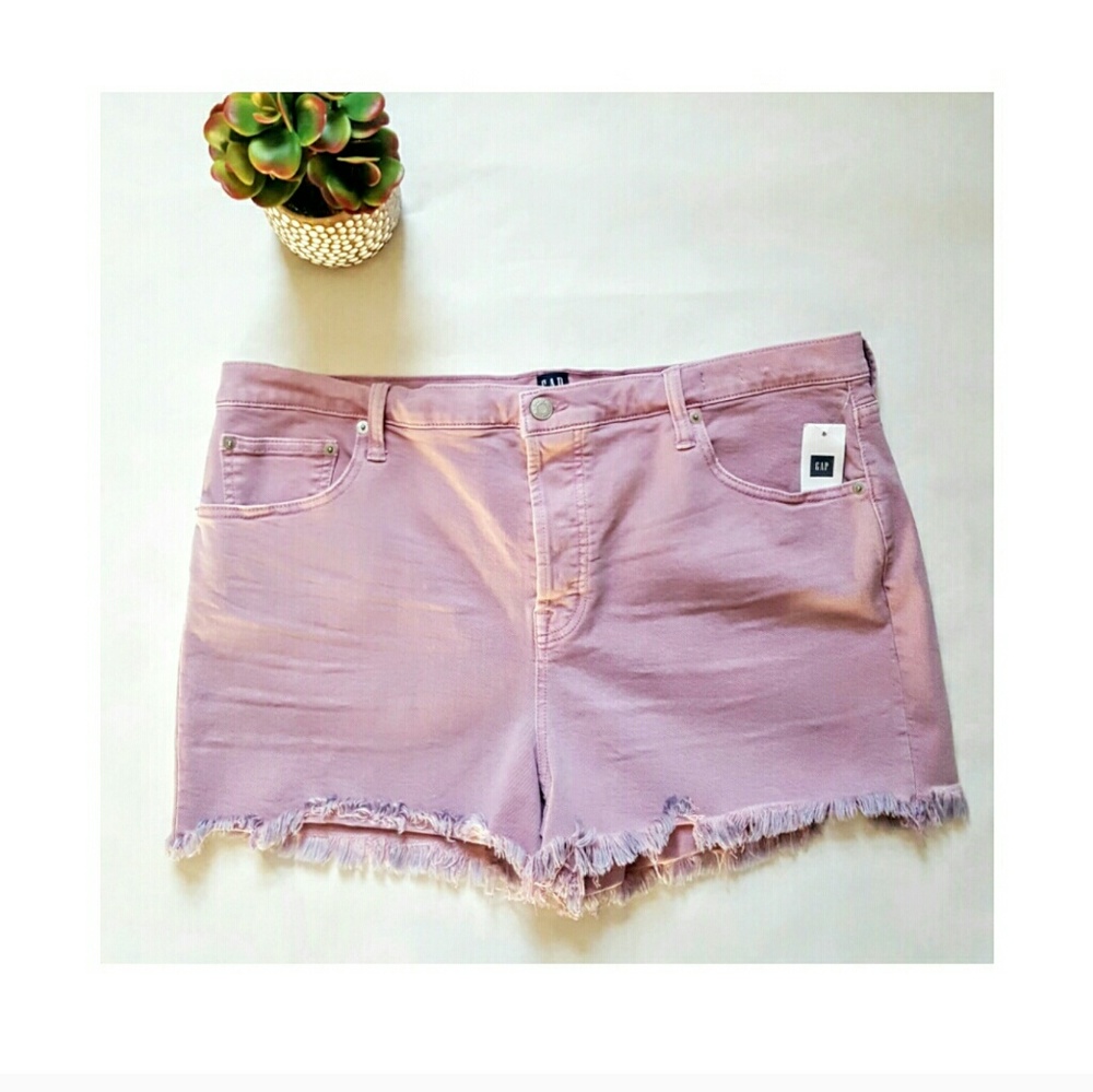GAP lilac shorts with fray NWT size 34